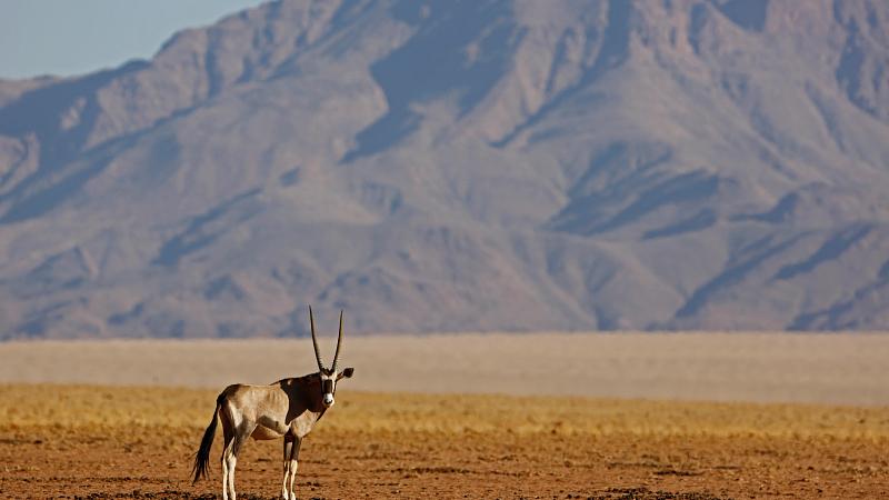 Namibia Travel in 2025: Some of the Best Things to Do and See - background banner